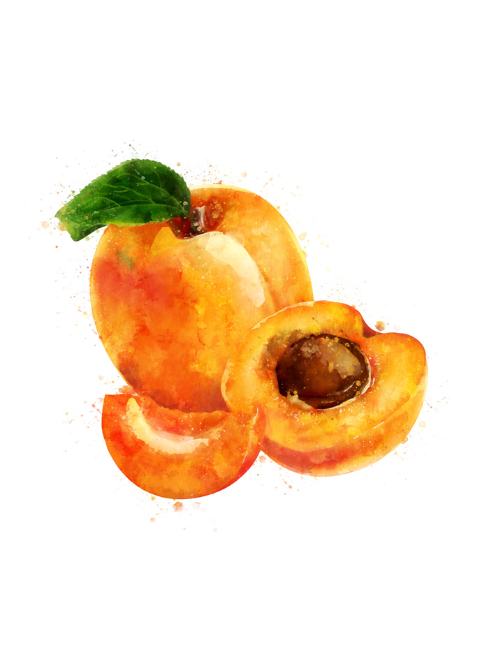 APRICOT