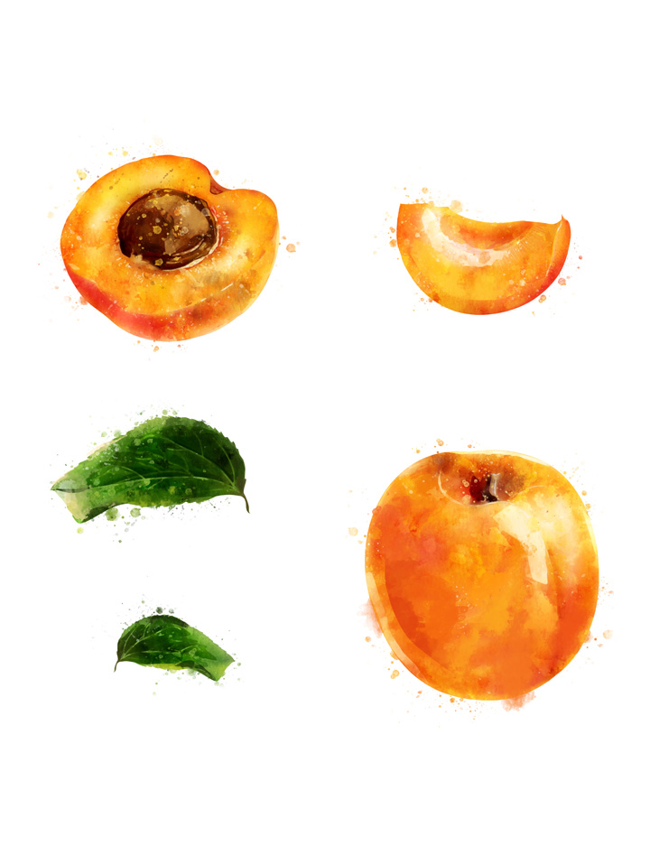 APRICOT SEPARATED