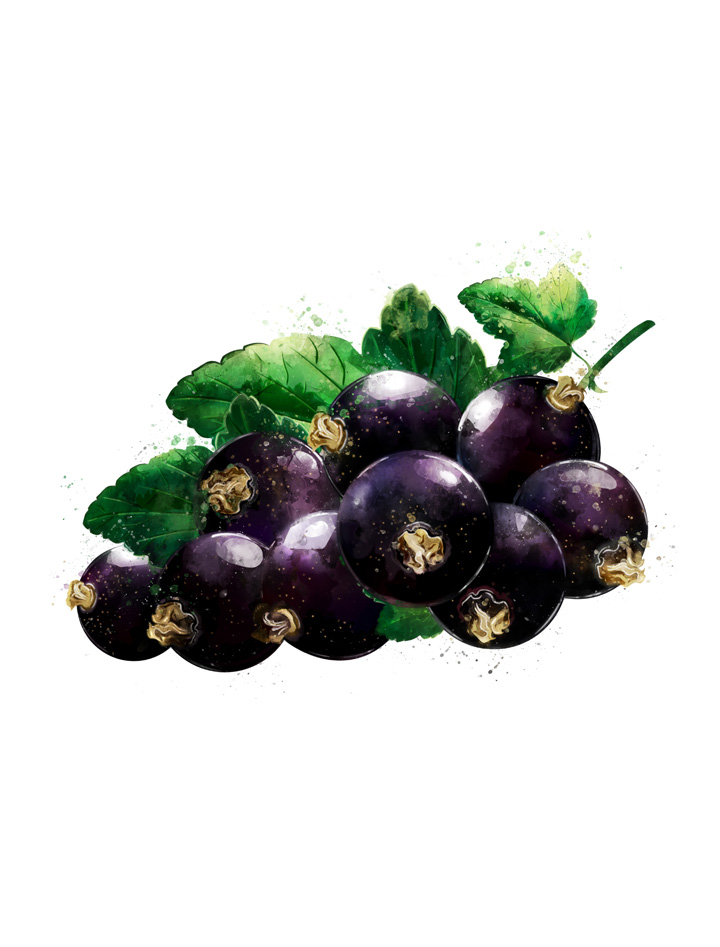 BLACKCURRANT