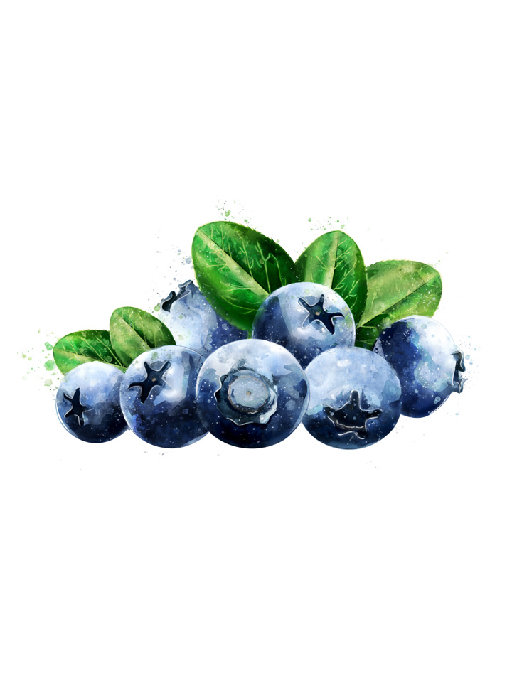 BLUEBERRIES