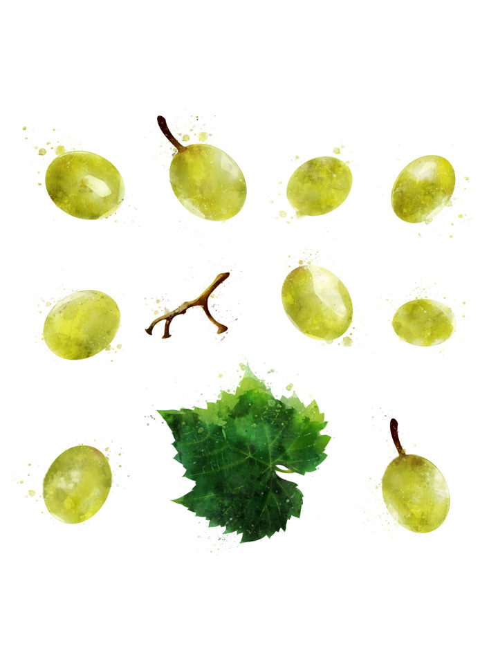 GRAPESGREEN SEPARATED