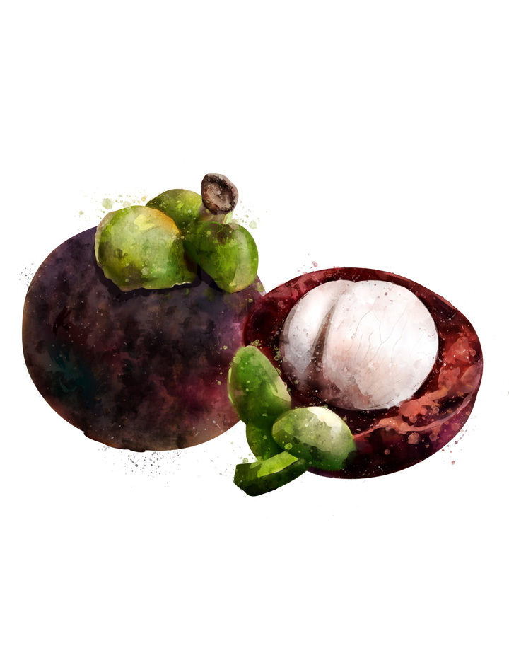 MANGOSTEEN