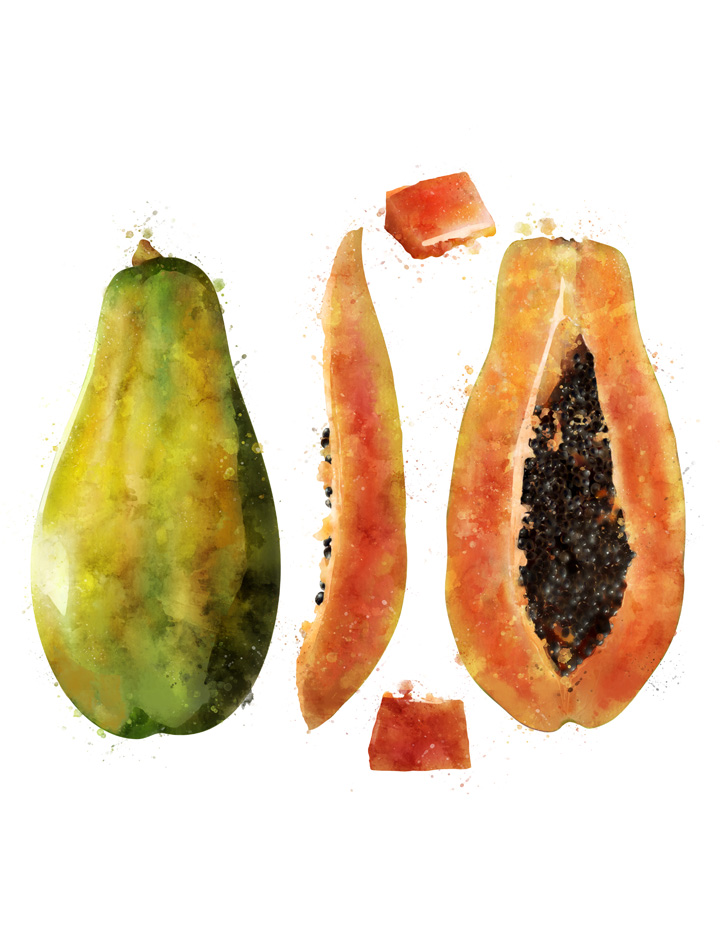 PAPAYA SEPARATED