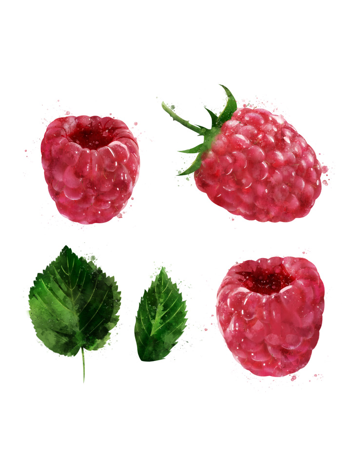 RASPBERRIES SEPARATED