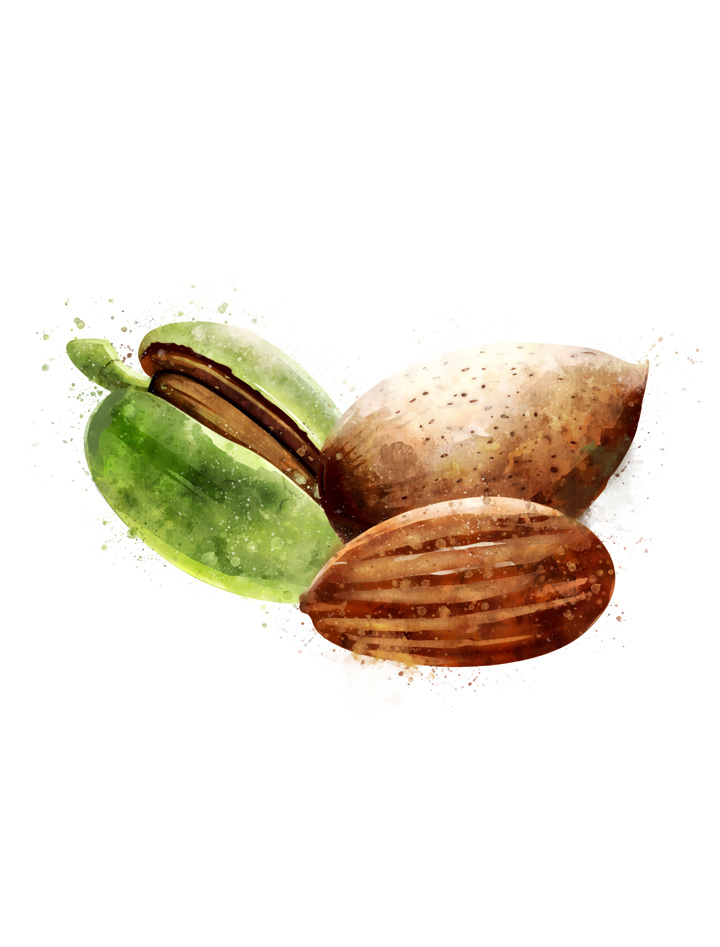 ALMOND