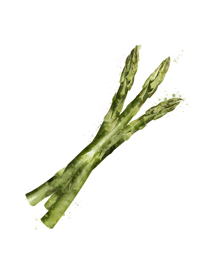 ASPARAGUS