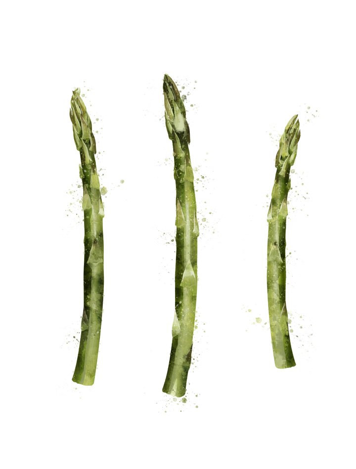 ASPARAGUS SEPARATED