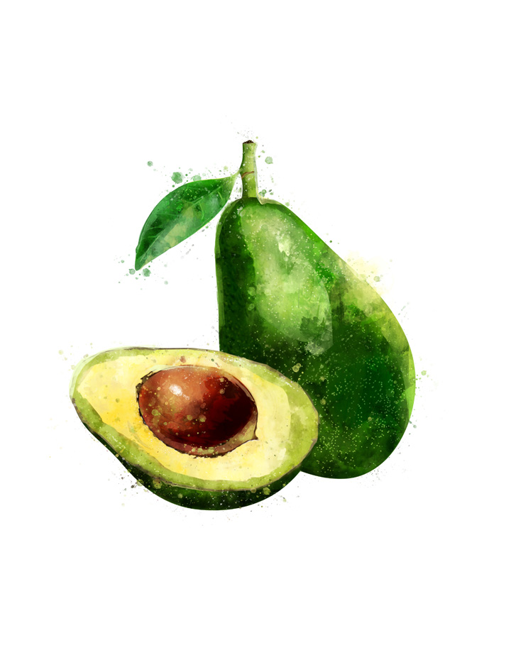 AVOCADO