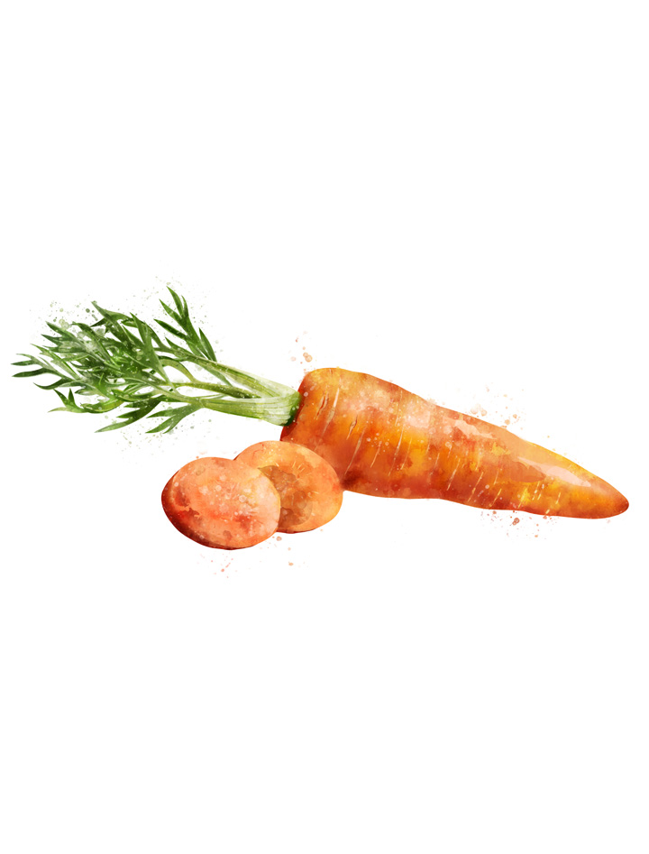 CARROT