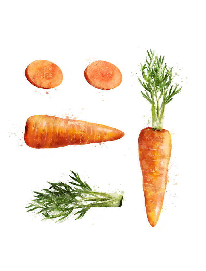 CARROT SEPARATED
