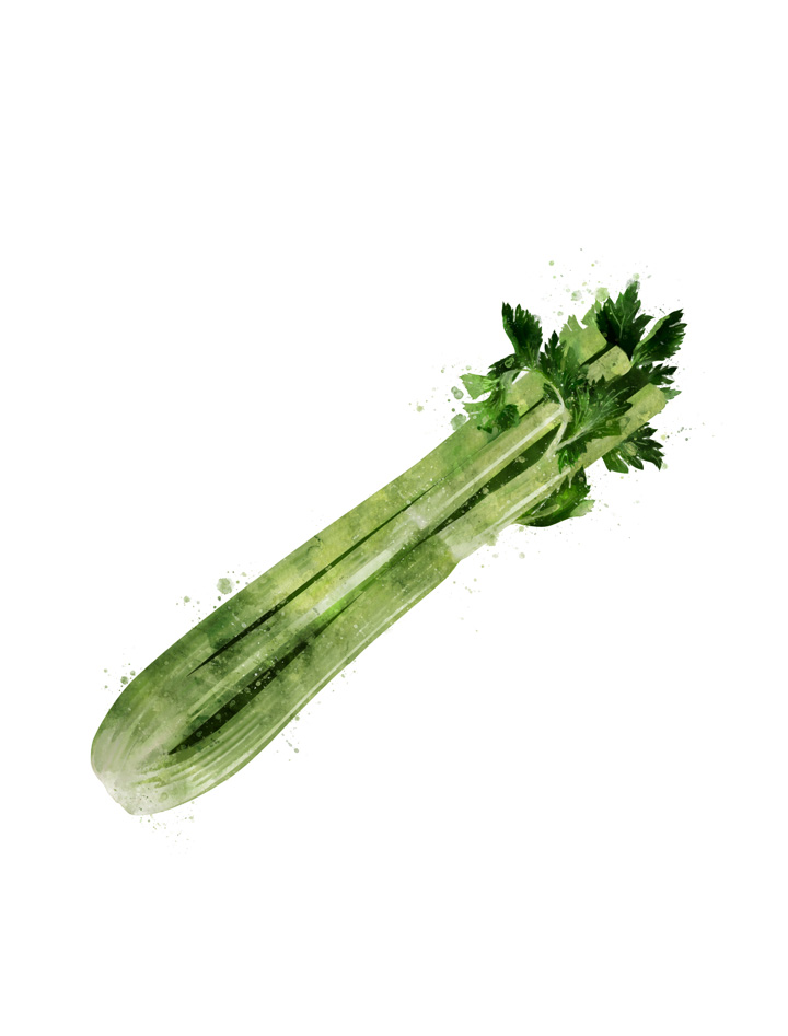 CELERY