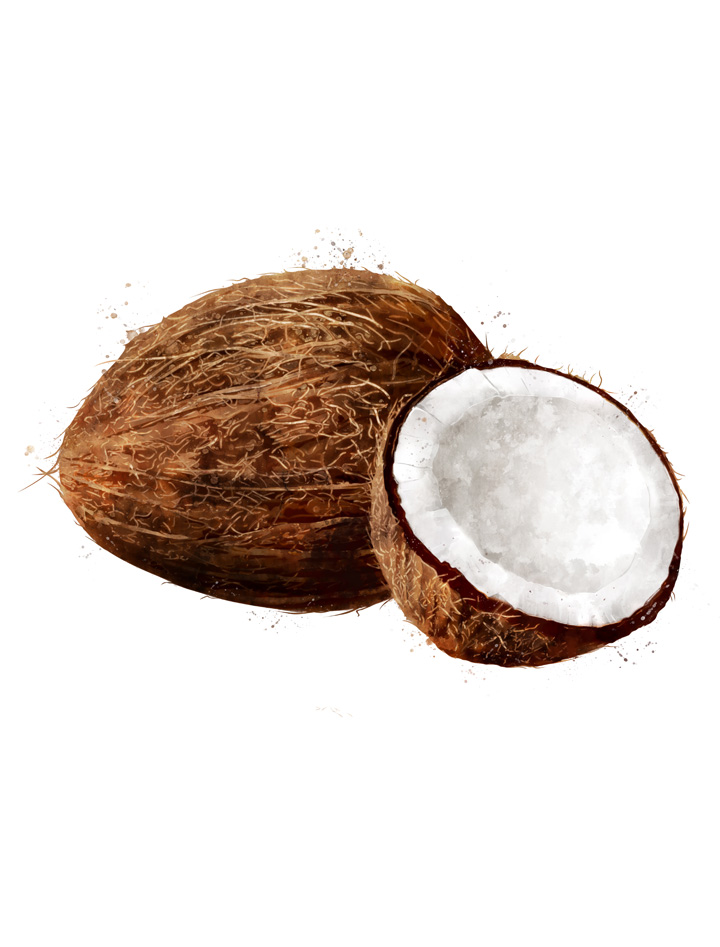 COCONUT