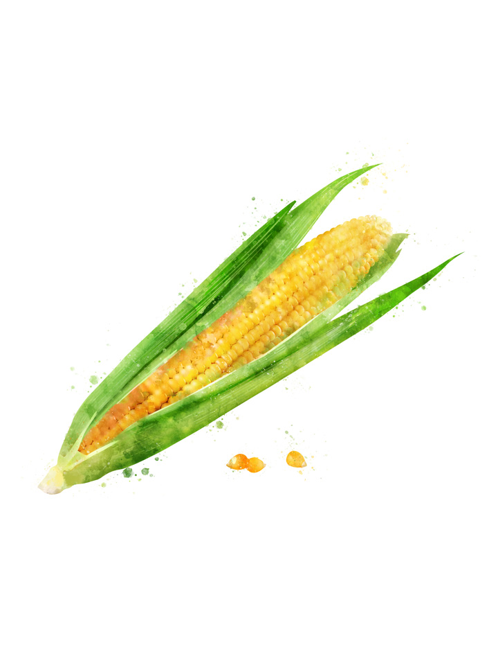 CORN