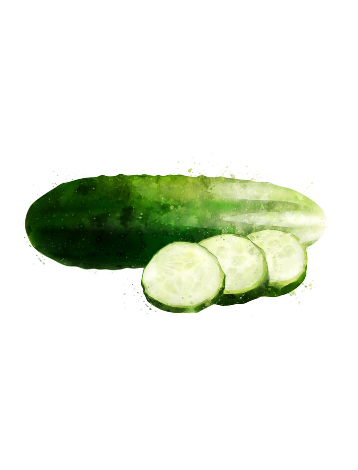 CUCUMBER