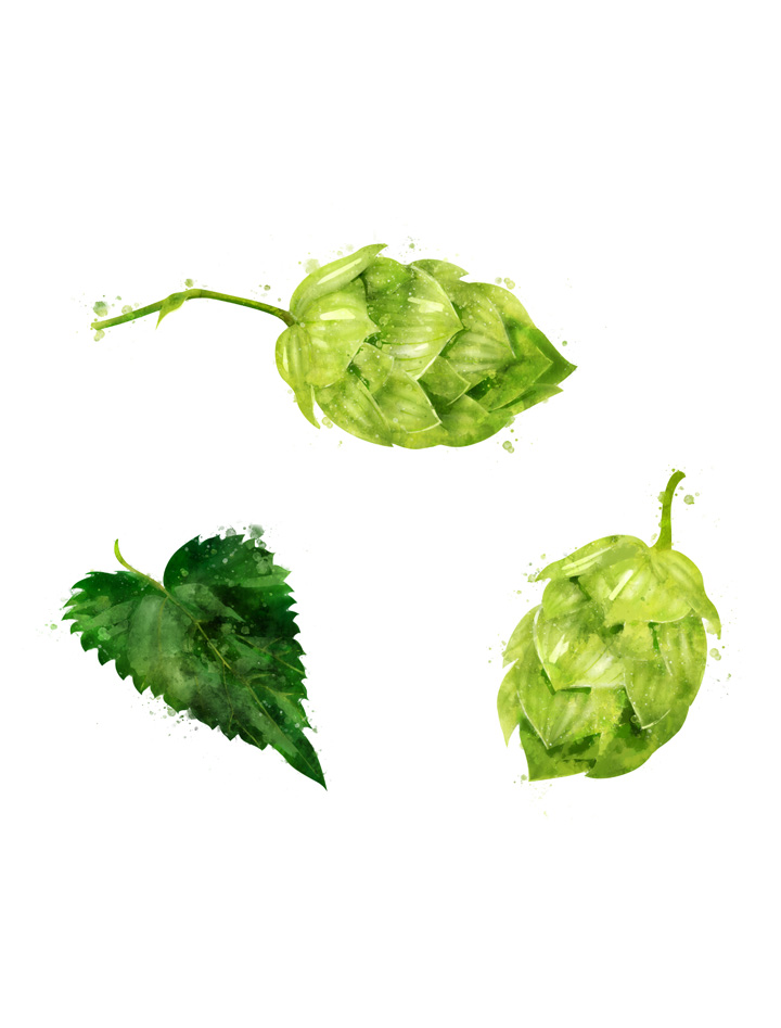 HOP SEPARATED