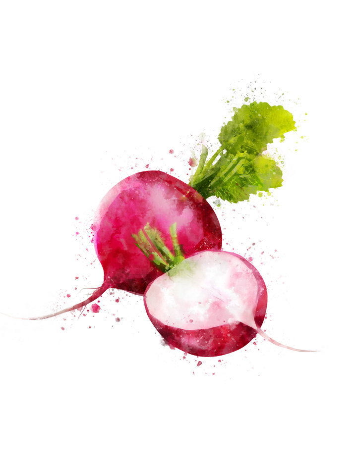 RADISH