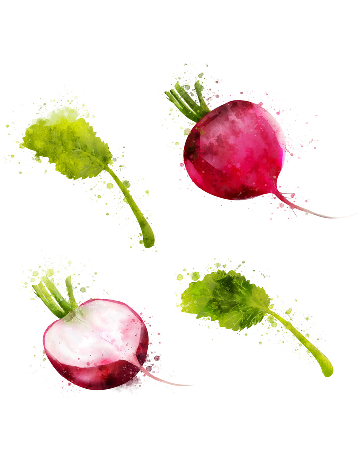 RADISH SEPARATED